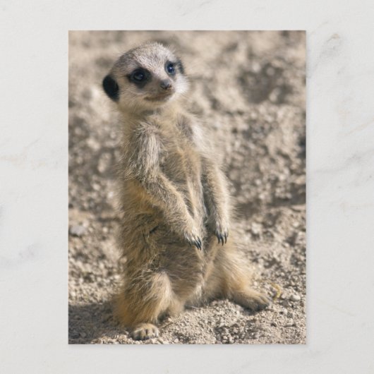 Briefkaart voor instaptraining (Voorkant)