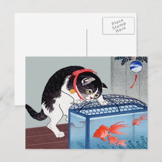 Briefkaart voor katten- en goudvis (Voorkant / Achterkant)