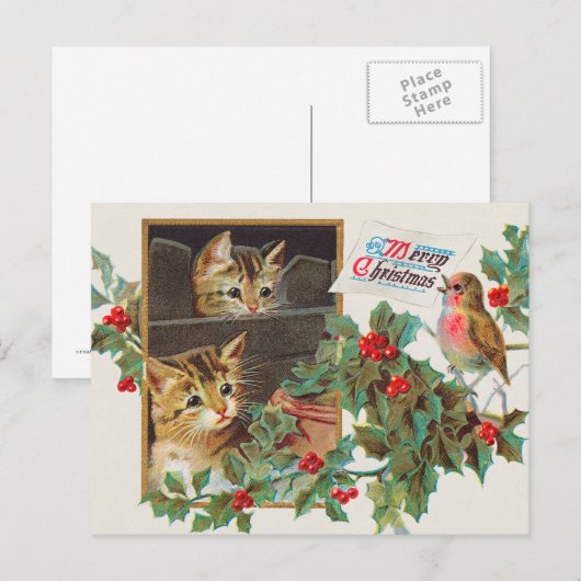  briefkaart voor katten- en vogelvakantie (Voorkant / Achterkant)