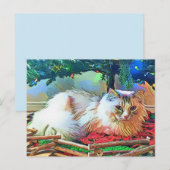 briefkaart voor kerstkatten (Voorkant / Achterkant)