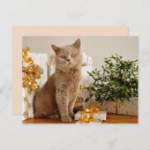 briefkaart voor kerstkatten (Voorkant / Achterkant)