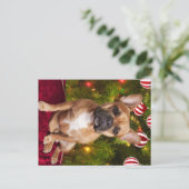 Briefkaart voor kerstmis in Franse Bulldog (Staand voorkant)