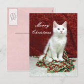 Briefkaart voor kerstmis van Bianca - Kat / Keuten (Voorkant / Achterkant)