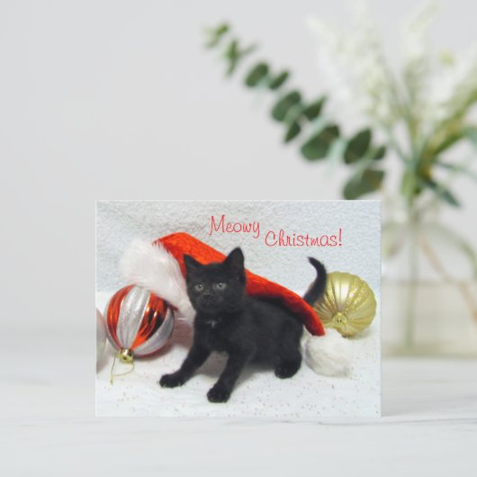 Briefkaart voor kerstmis van Joon - kat / kitten (Staand voorkant)