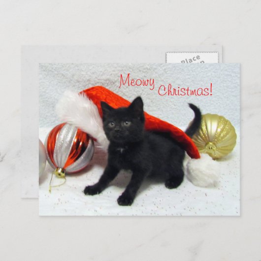 Briefkaart voor kerstmis van Joon - kat / kitten (Voorkant / Achterkant)