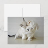 Briefkaart voor keukenpuin (Voorkant / Achterkant)