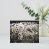 Briefkaart voor kleurisolatie van wilde bloemen (Staand voorkant)