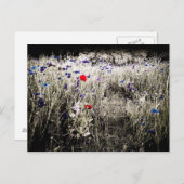 Briefkaart voor kleurisolatie van wilde bloemen (Voorkant / Achterkant)