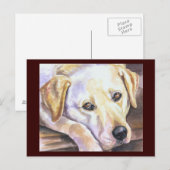 Briefkaart voor labrador Retriever (Voorkant / Achterkant)