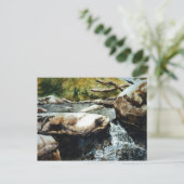 briefkaart voor landwegen "Anglin's Creek #2" (Staand voorkant)