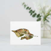 briefkaart voor landwegen "Beech #4" (Staand voorkant)