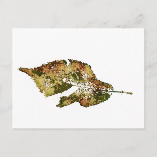 briefkaart voor landwegen "Beech #4" (Voorkant)