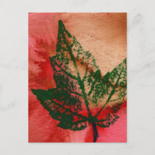 briefkaart voor landwegen "Little Maple"