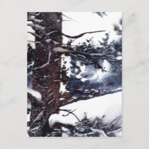 briefkaart voor landwegen "Sneeuwpine #2"