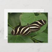 Briefkaart voor langwerpige vlinder (Voorkant / Achterkant)