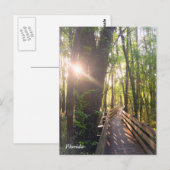 Briefkaart voor ochtendzonsopgang in Florida (Voorkant / Achterkant)