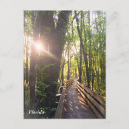 Briefkaart voor ochtendzonsopgang in Florida