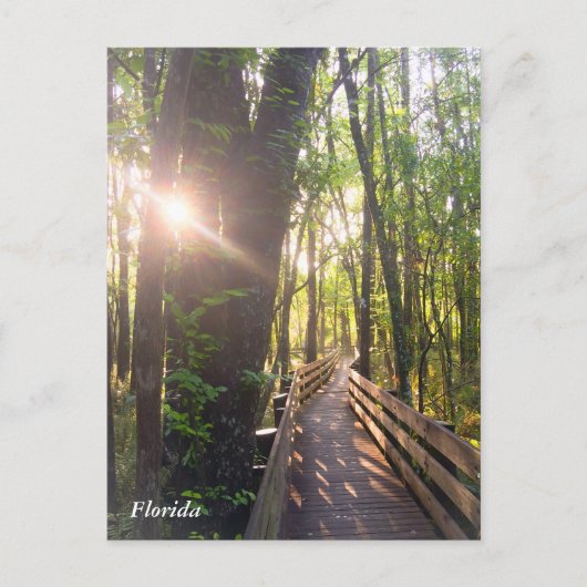 Briefkaart voor ochtendzonsopgang in Florida (Voorkant)