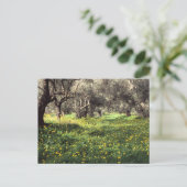 Briefkaart voor olijfgaarden (Staand voorkant)