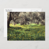 Briefkaart voor olijfgaarden (Voorkant / Achterkant)