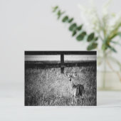 Briefkaart voor onbekend foto (Staand voorkant)