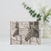 briefkaart voor oude, stabiele paarden (Staand voorkant)