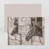 briefkaart voor oude, stabiele paarden (Voorkant / Achterkant)