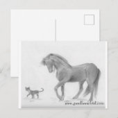 Briefkaart voor paarden en katten (Voorkant / Achterkant)