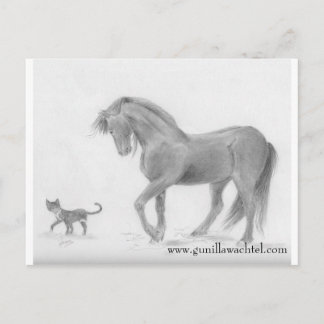 Briefkaart voor paarden en katten