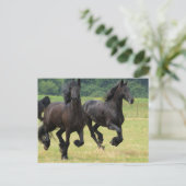Briefkaart voor paarden met een galoping (Staand voorkant)