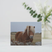 Briefkaart voor paardenkunst (Staand voorkant)