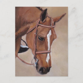 Briefkaart voor paardenpest