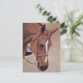 Briefkaart voor paardenpest (Staand voorkant)