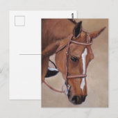 Briefkaart voor paardenpest (Voorkant / Achterkant)