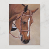 Briefkaart voor paardenpest (Voorkant)