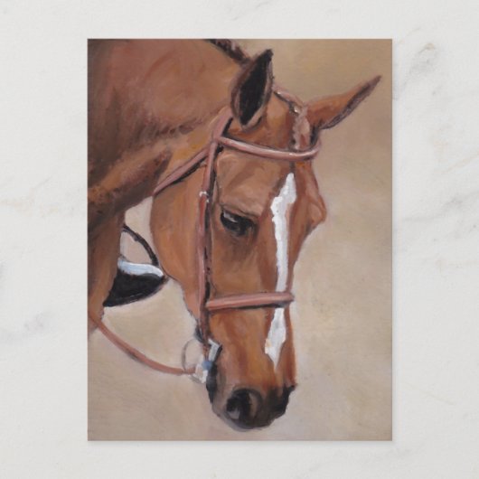 Briefkaart voor paardenpest (Voorkant)