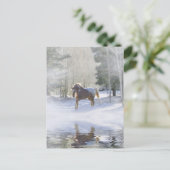 Briefkaart voor paardenvakantie (Staand voorkant)