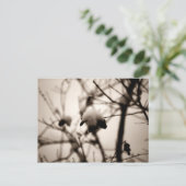 Briefkaart voor poedervorm (Staand voorkant)