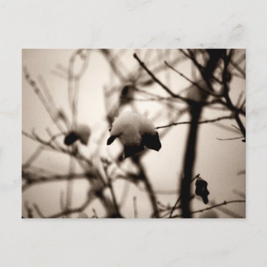 Briefkaart voor poedervorm (Voorkant)