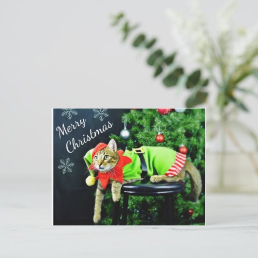 Briefkaart voor prettige kerstkat (Staand voorkant)