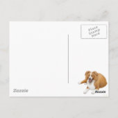 Briefkaart voor randkolonies (Achterkant)