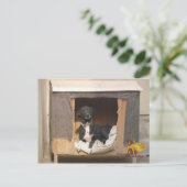 Briefkaart voor redding van nowzad (Staand voorkant)