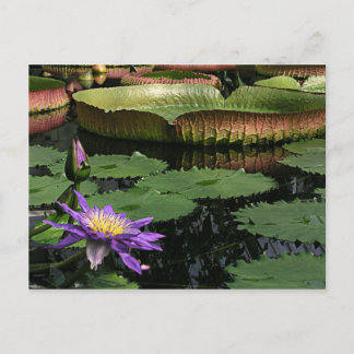 Briefkaart voor reisophaaldiensten 1