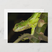 Briefkaart voor reisophaaldiensten 12 (Voorkant / Achterkant)