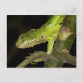 Briefkaart voor reisophaaldiensten 12 (Voorkant)