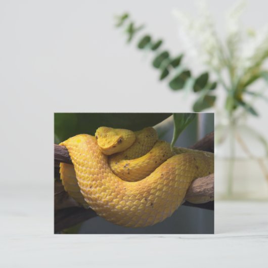 Briefkaart voor reisophaaldiensten 2 (Staand voorkant)