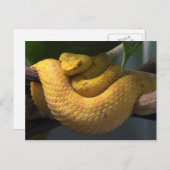 Briefkaart voor reisophaaldiensten 2 (Voorkant / Achterkant)