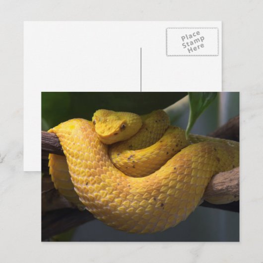 Briefkaart voor reisophaaldiensten 2 (Voorkant / Achterkant)