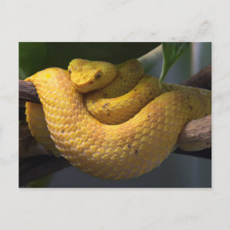 Briefkaart voor reisophaaldiensten 2