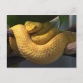 Briefkaart voor reisophaaldiensten 2 (Voorkant)